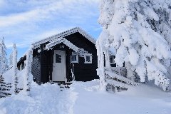 tekst