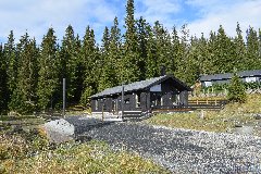 tekst