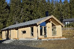 tekst
