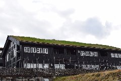 tekst