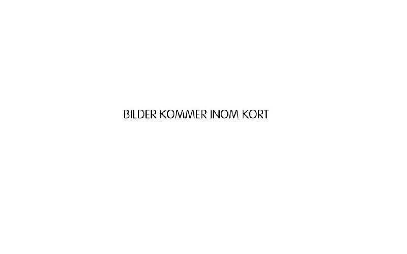 tekst