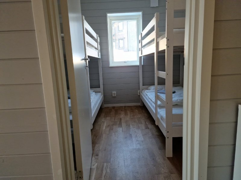 tekst