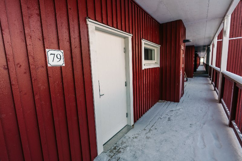 tekst