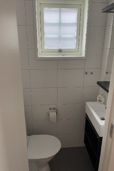 tekst