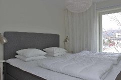 tekst