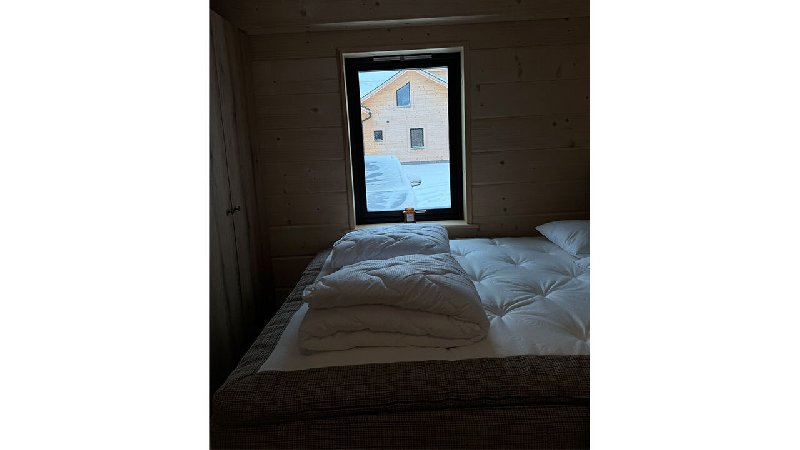 tekst