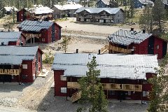 tekst