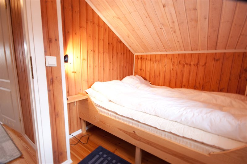 tekst