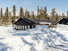 tekst