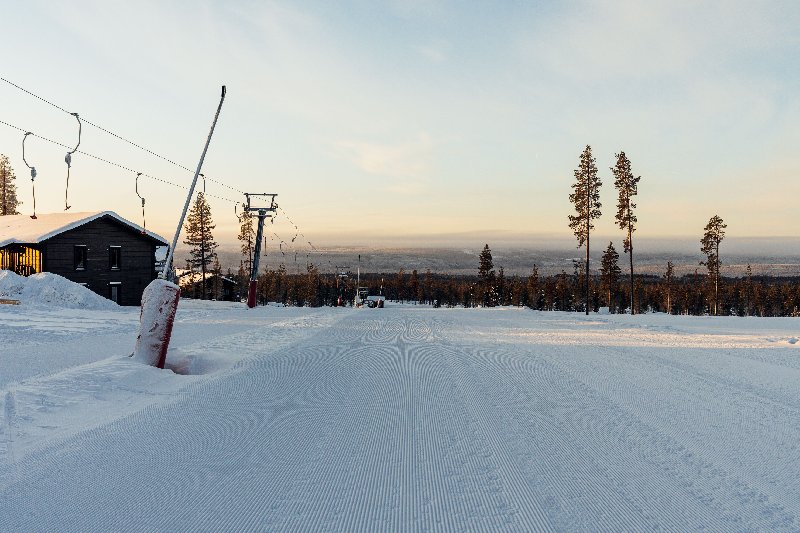 tekst