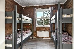 tekst