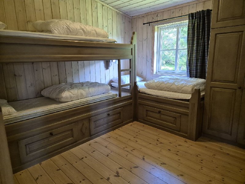 tekst