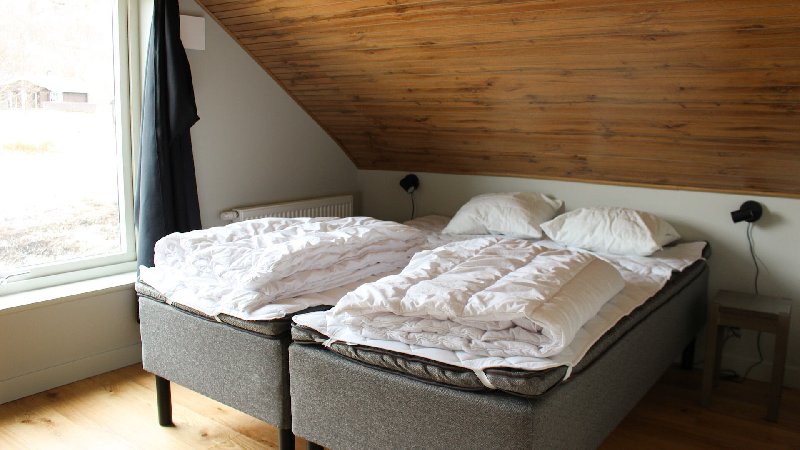 tekst