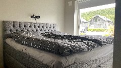 tekst