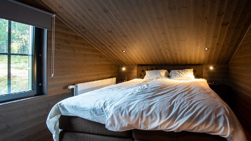 tekst