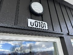 tekst