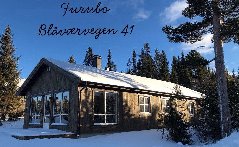 tekst