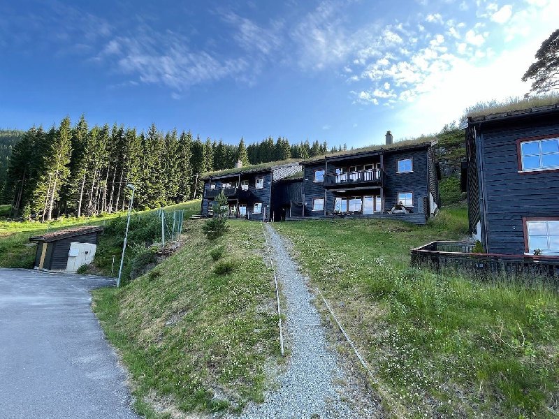 tekst