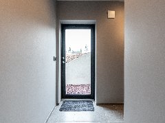 tekst