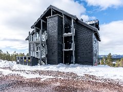 tekst