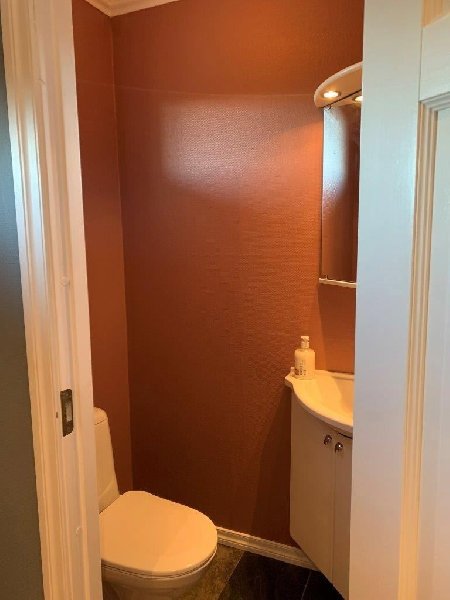 tekst