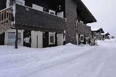 tekst