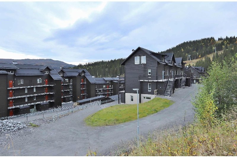 tekst