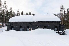 tekst