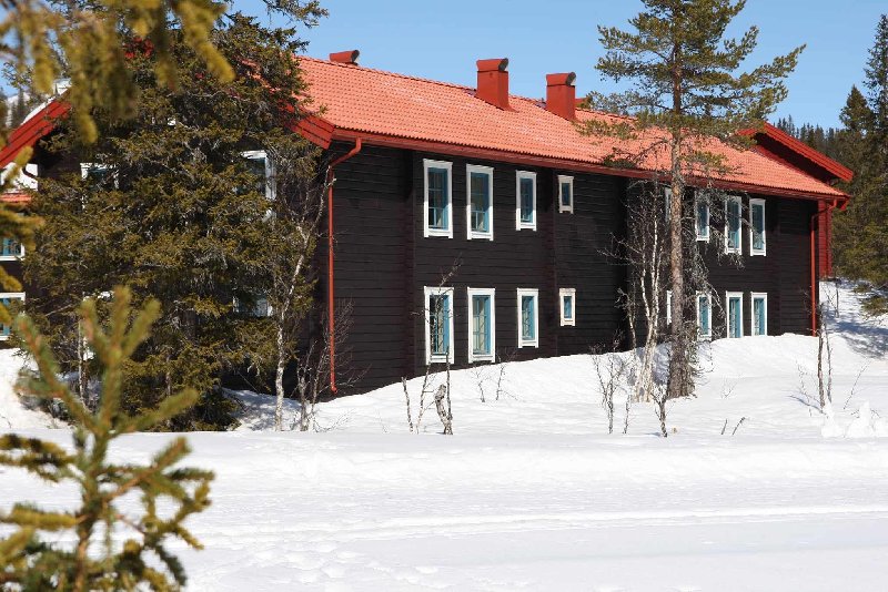 tekst1