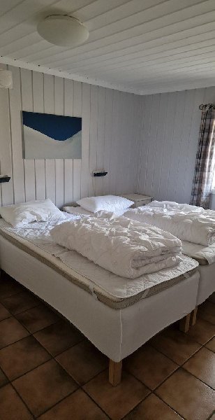 tekst