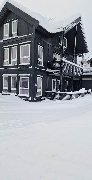 tekst