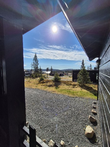 tekst