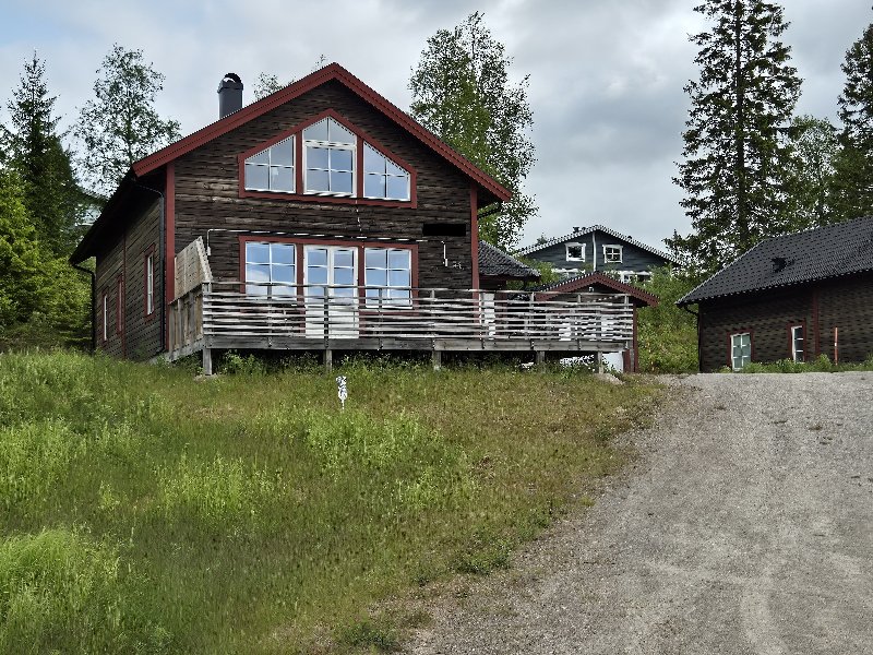 tekst