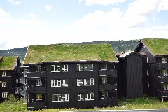 tekst