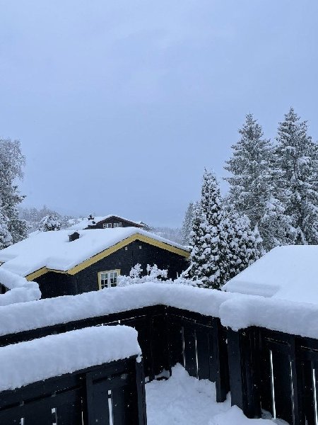 tekst