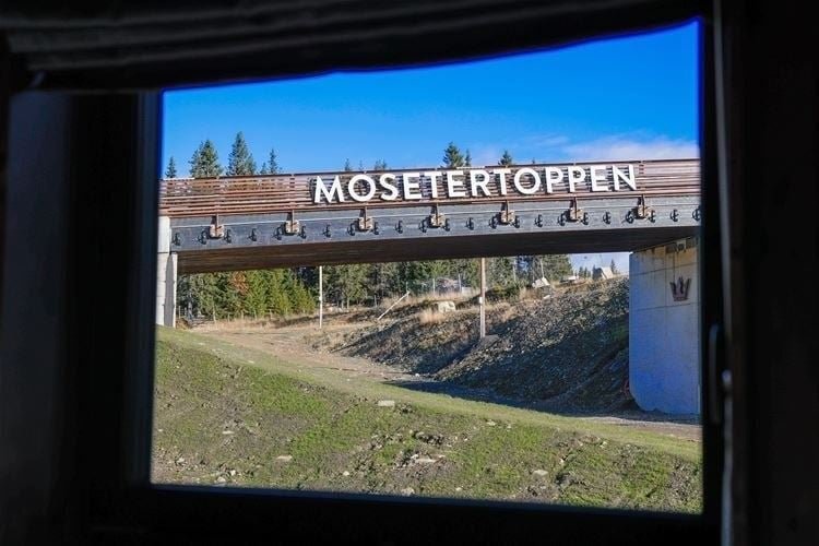 tekst