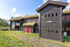 tekst