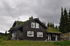 tekst