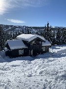 tekst