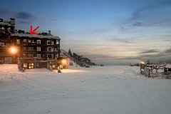 tekst
