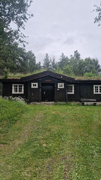 tekst