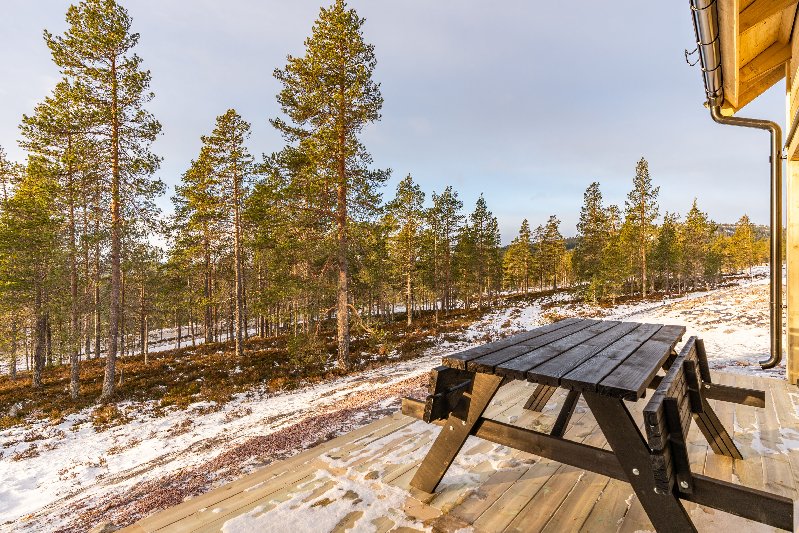 tekst