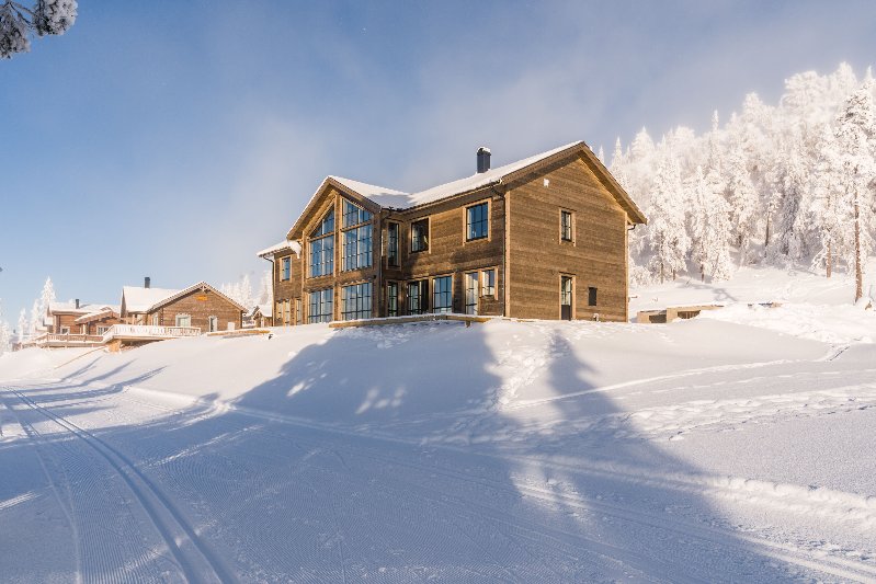 tekst
