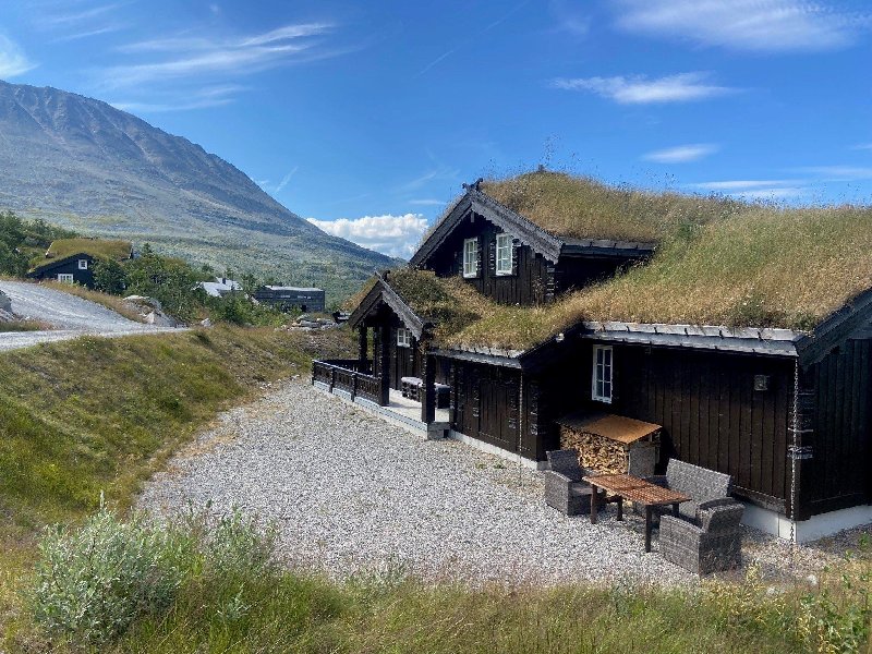 tekst