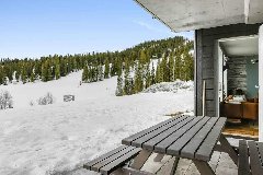 tekst