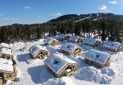 tekst