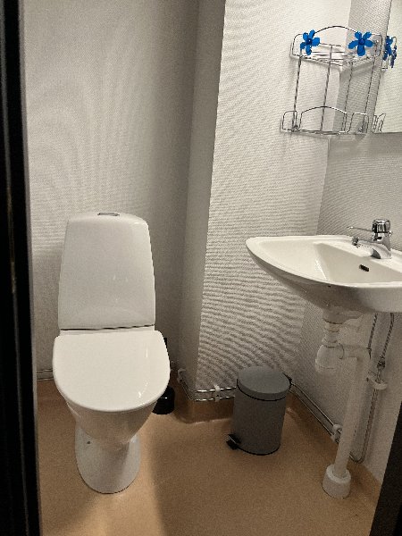 tekst
