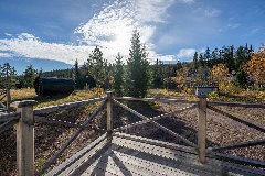 tekst