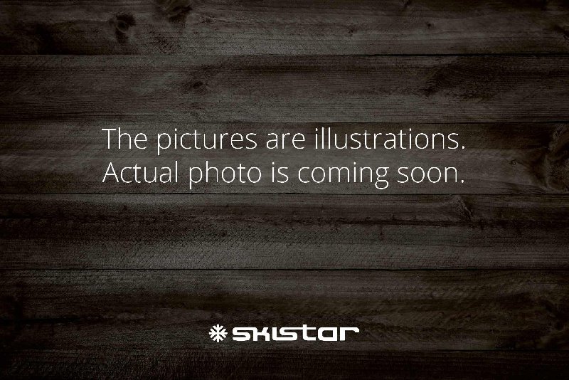 tekst