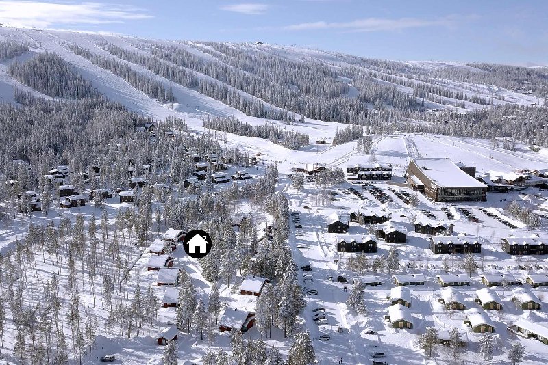 tekst